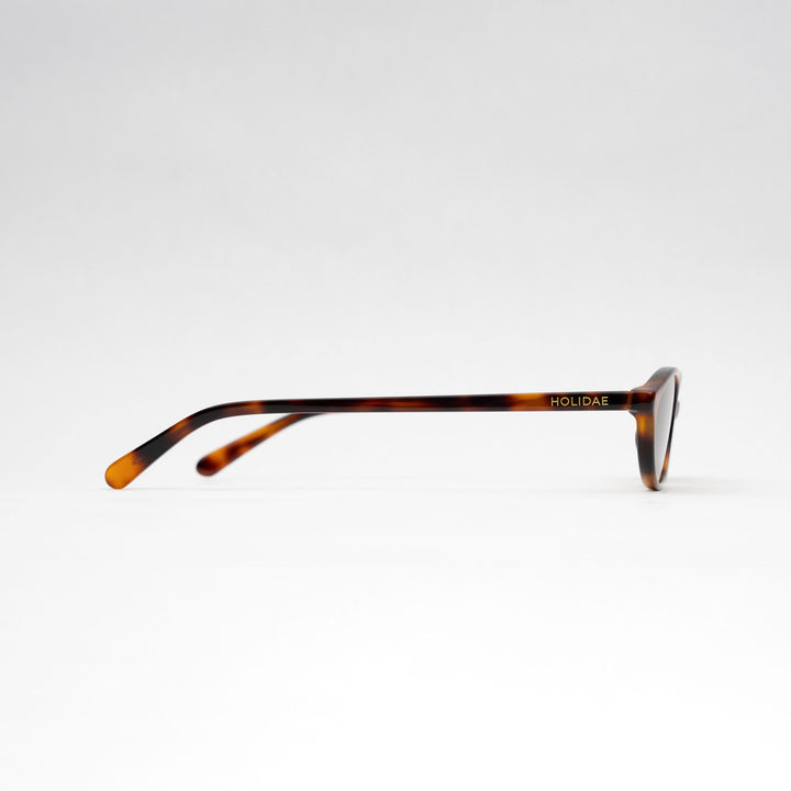 #color_tortoise-shell