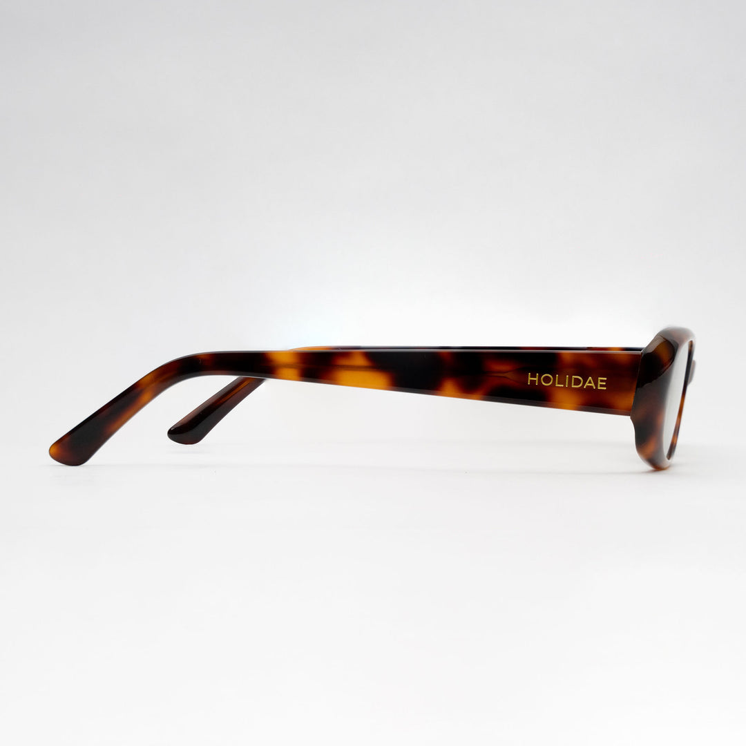 #color_tortoise-shell