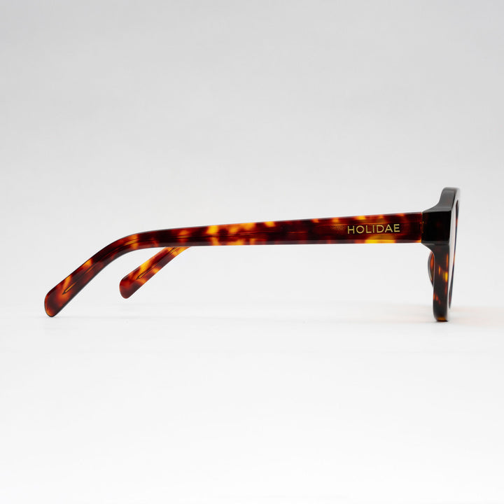 #color_tortoise-shell