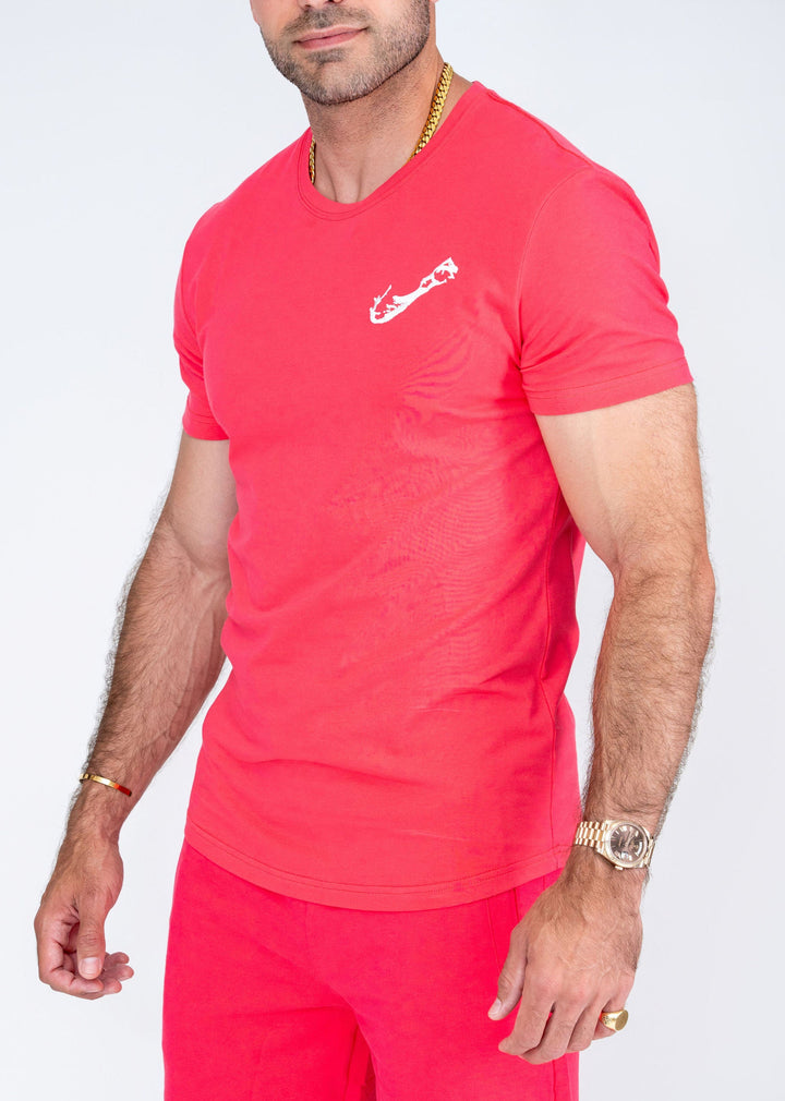 #color_watermelon